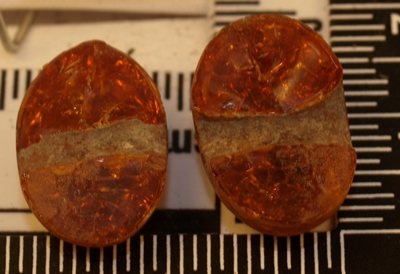 amber bead